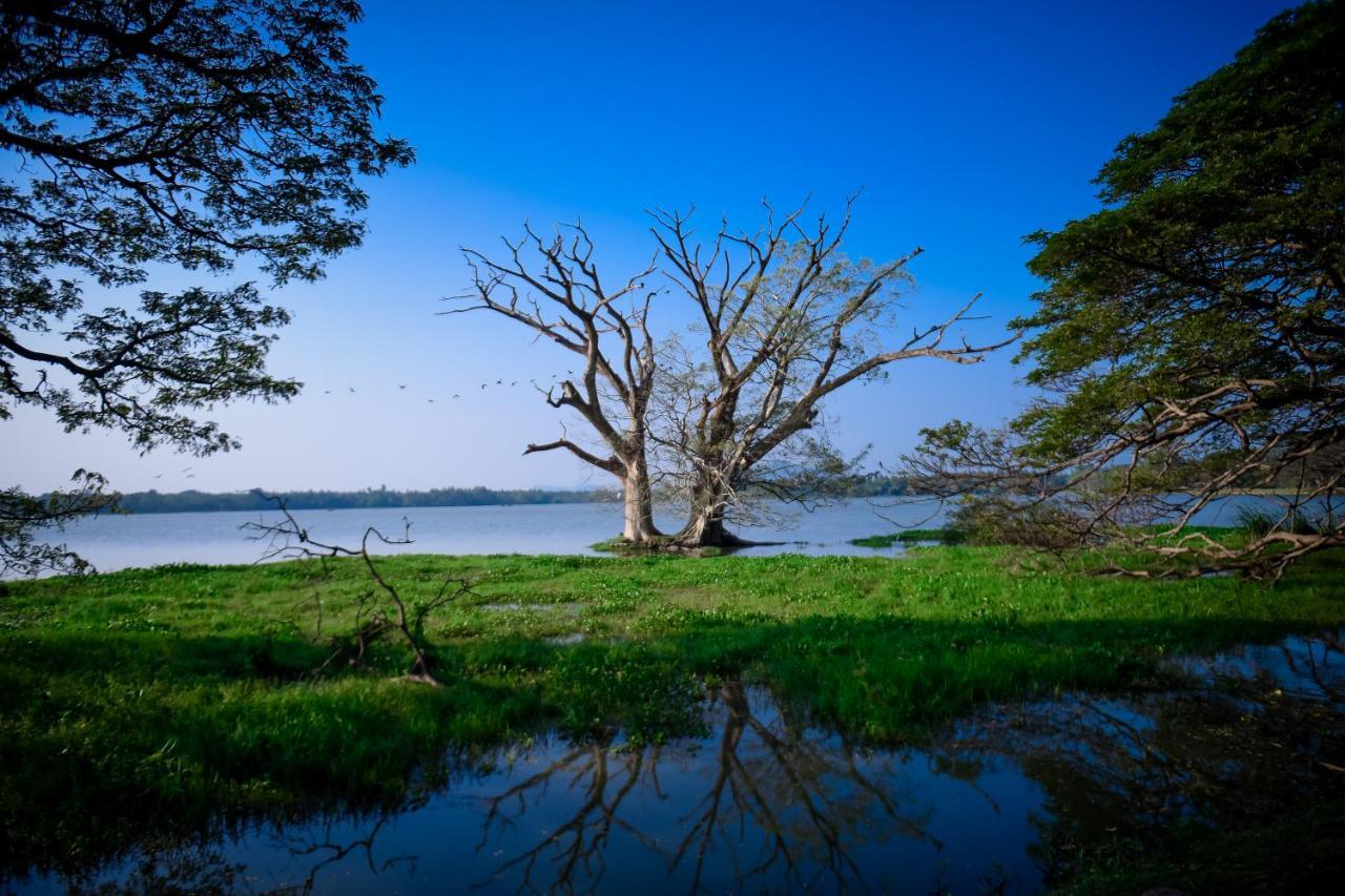 Double Lake View Tissa & Safari Tissamaharama Ngoại thất bức ảnh
