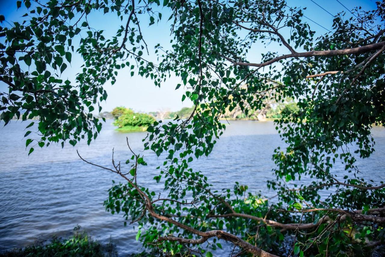 Double Lake View Tissa & Safari Tissamaharama Ngoại thất bức ảnh